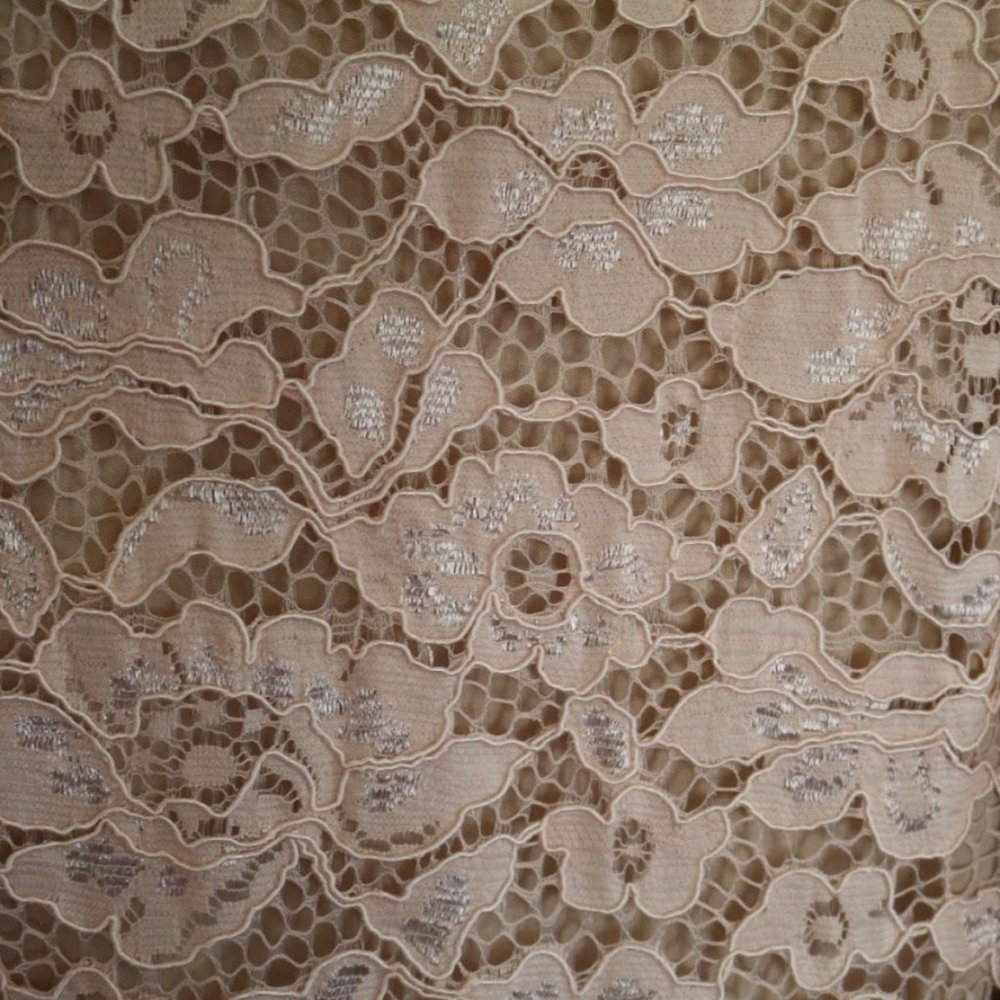 PERCEPTIONS New York Blush Nude Lace Sheath Dress - NWT! - Picture 11 of 16